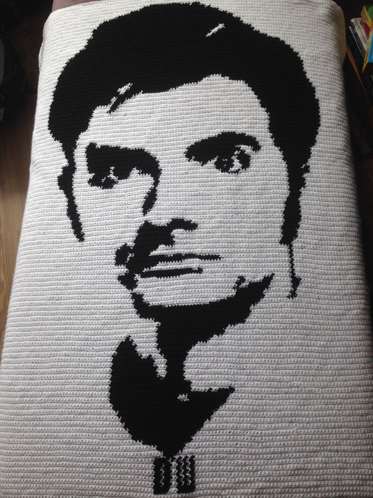 David Tennant Inspired Crochet Graphghan Pattern