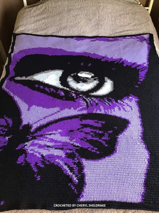 I C Butterfly Crochet Graphghan Pattern