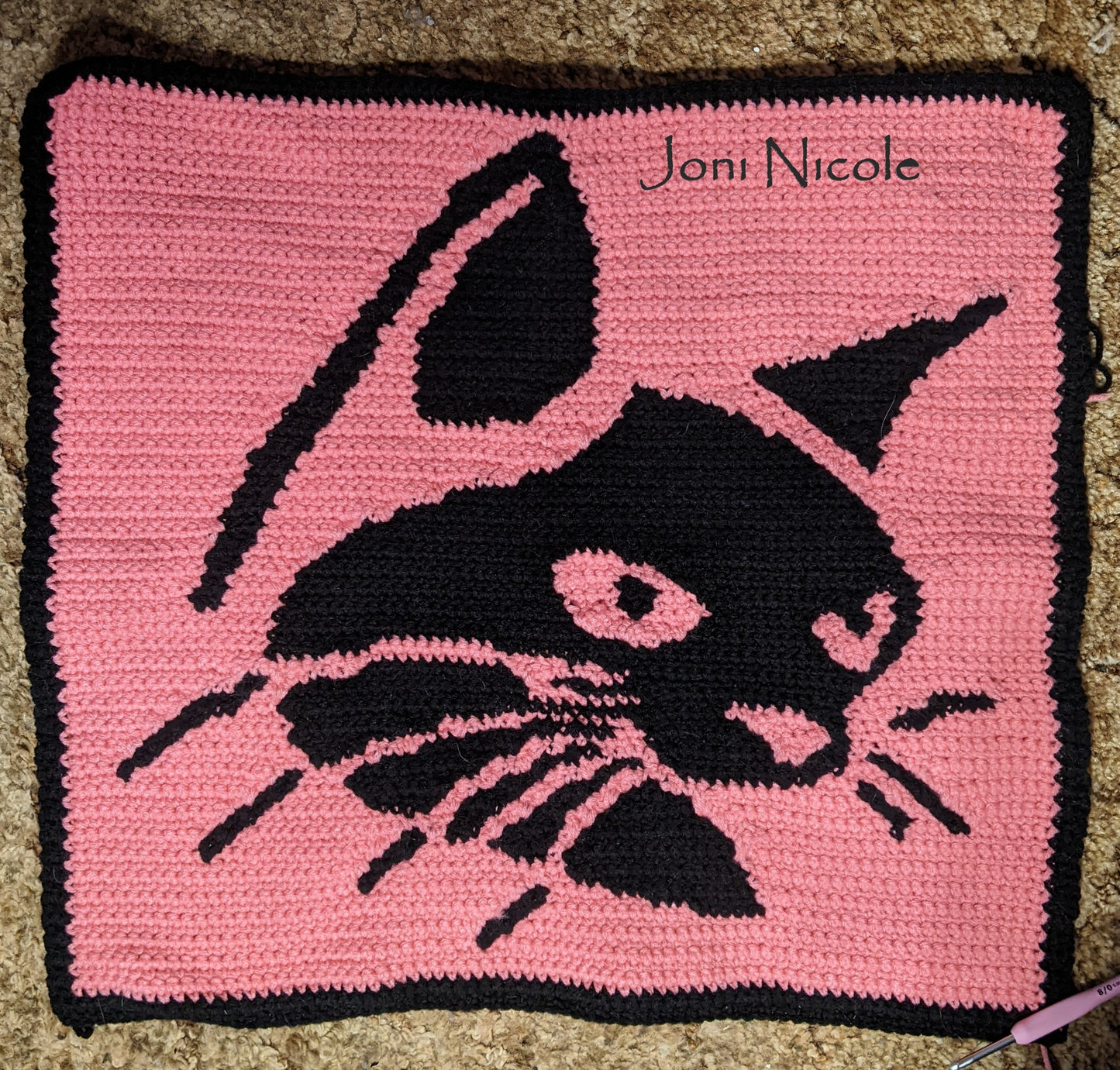 Cat Crochet Pillow Pattern