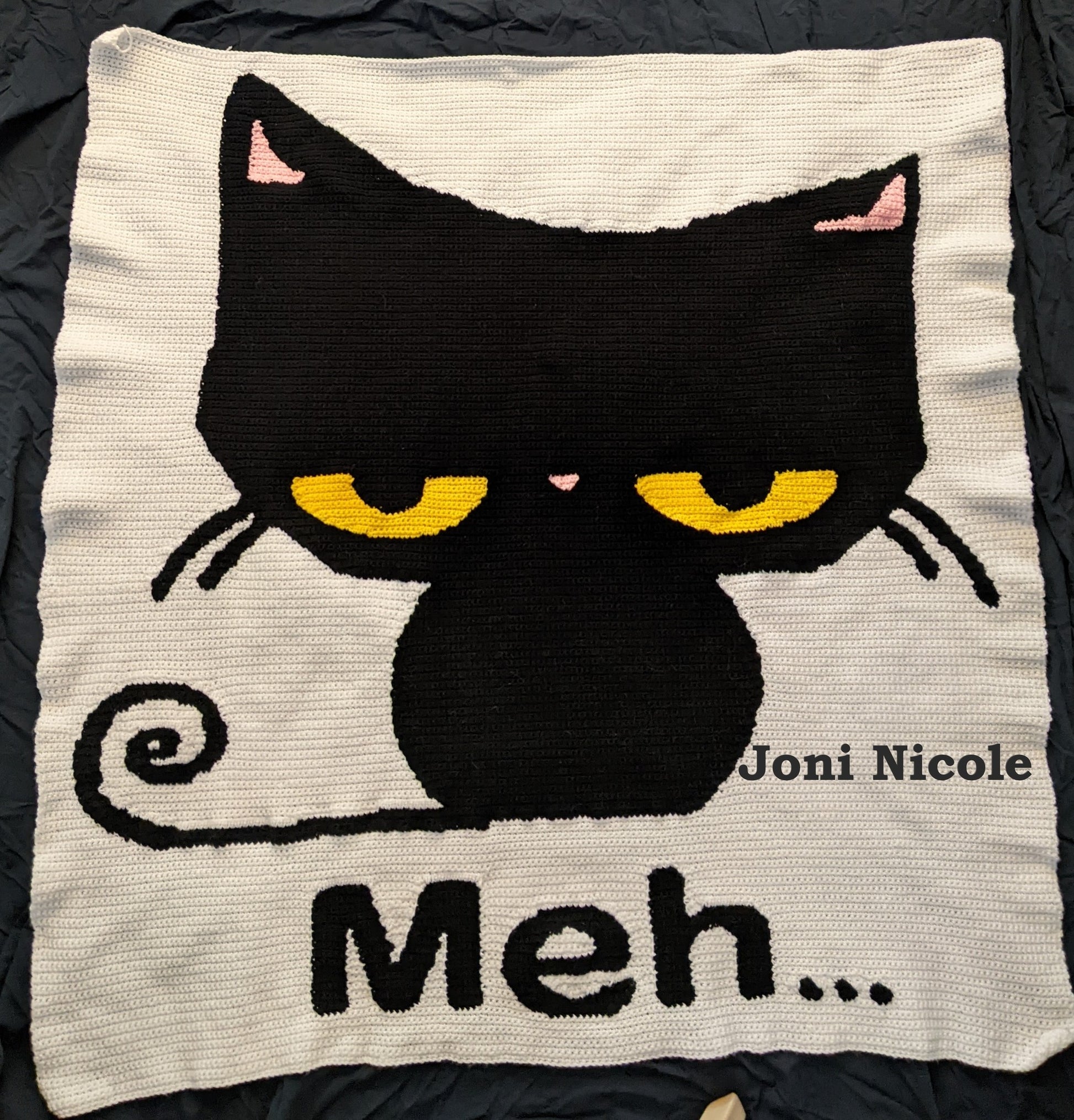 meh cat crochet pattern crocheted by Joni Nicole