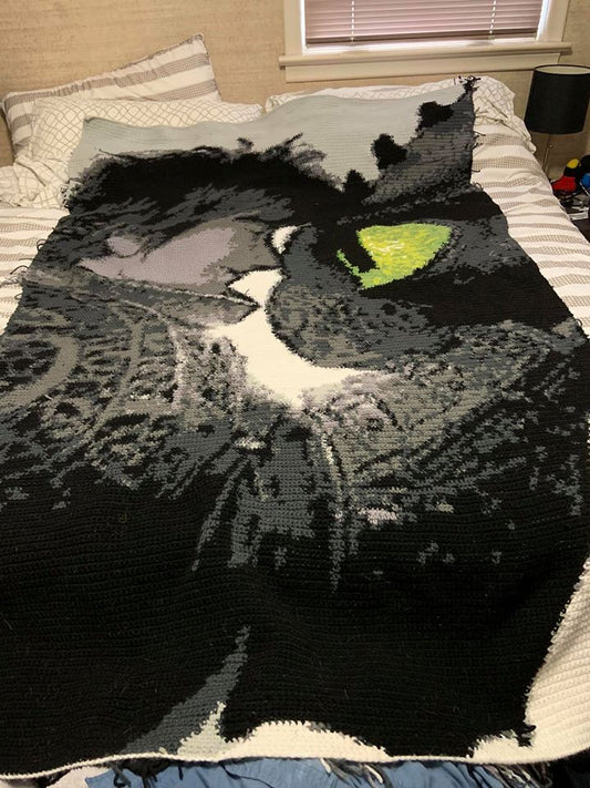 Toothless and Hiccup Graphghan Crochet Pattern