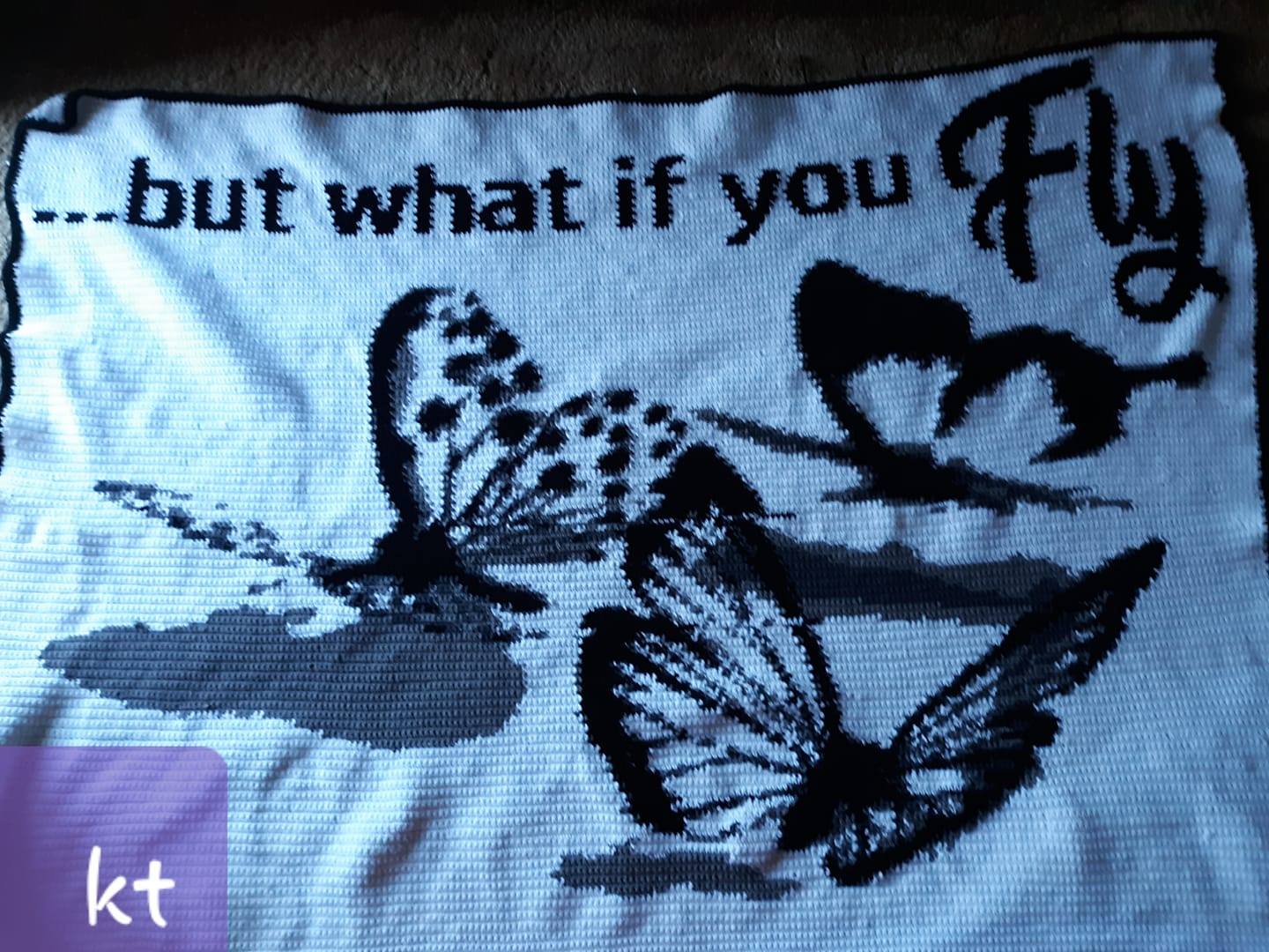 What If You Fly Butterflies Crochet Graphghan Pattern