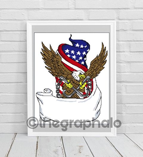 American Eagle WIth J Hooks & Flag