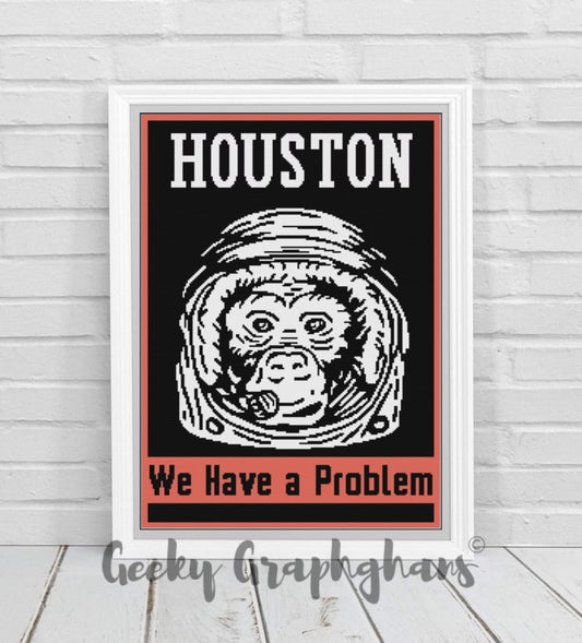 Houston We Have A Problem Crochet Graphghan Pattern