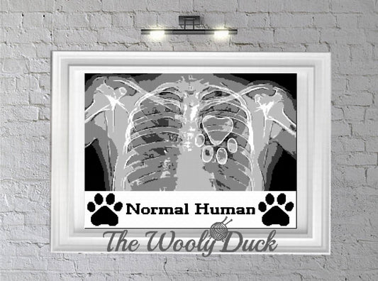 Normal Human Crochet Graphghan Pattern