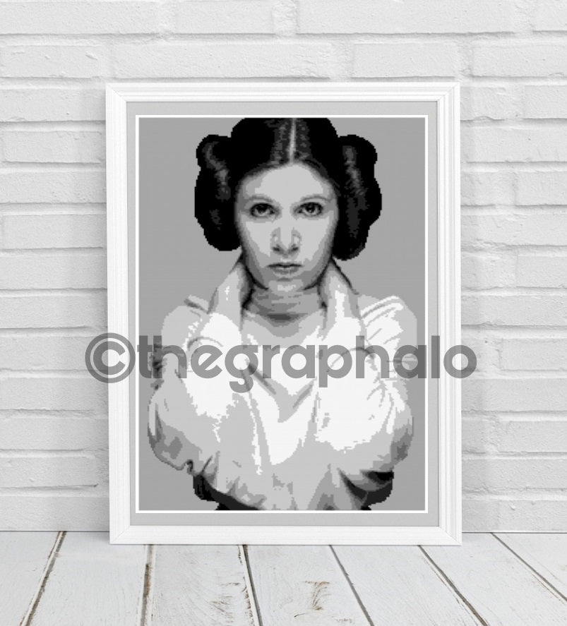Carrie Fisher Inspired Crochet Photoghan Portrait