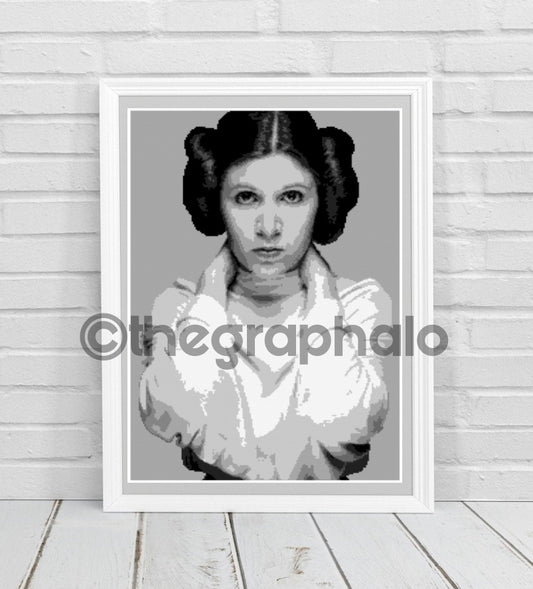 Carrie Fisher Inspired Crochet Photoghan Portrait