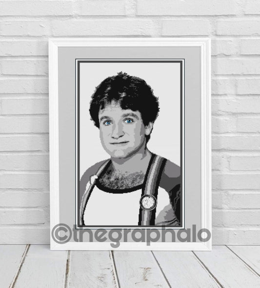 Robin Williams Crochet Photoghan Pattern