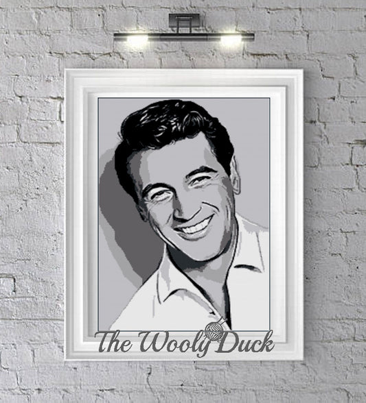 Rock Hudson Photoghan Crochet Pattern