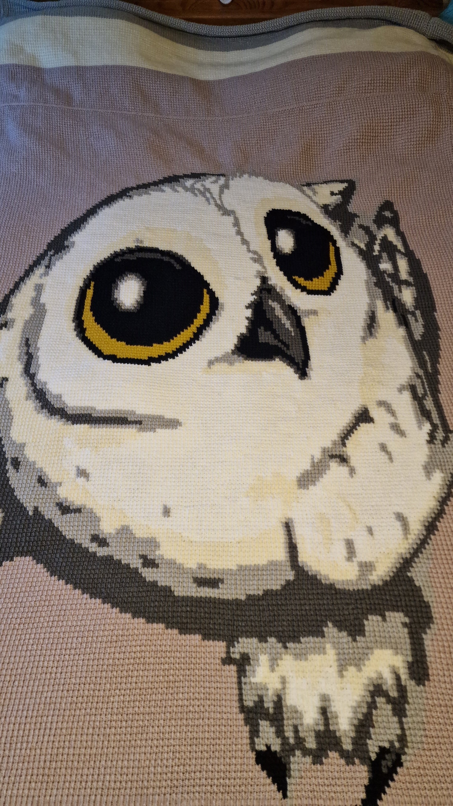 Owl So Cute Crochet Graphghan Pattern
