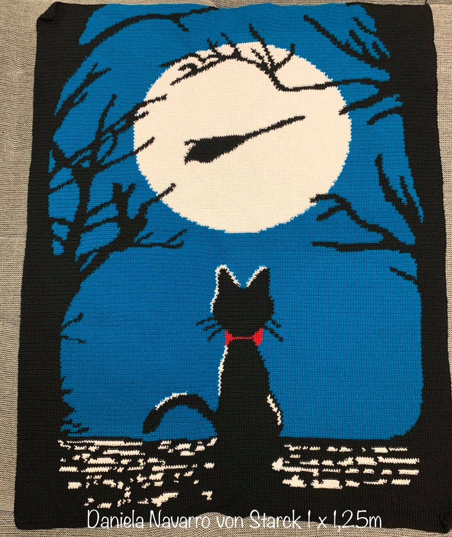 Hallo Moon Cat Crochet Graphghan Pattern