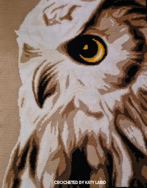 Wise Owl Crochet Graphghan Pattern