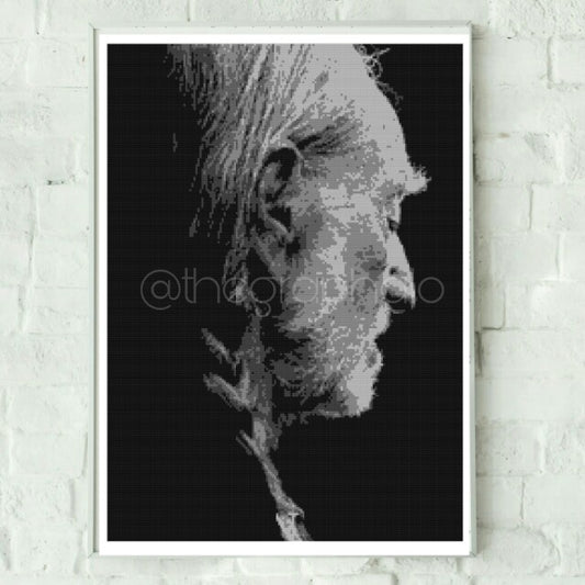 Willie Nelson Crochet Photoghan Pattern 180 x 240 Adult Throw Size