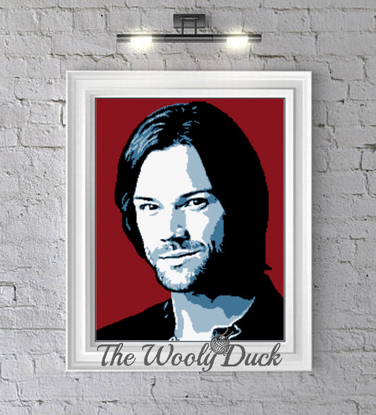Sam Winchester Crochet Graphghan Pattern